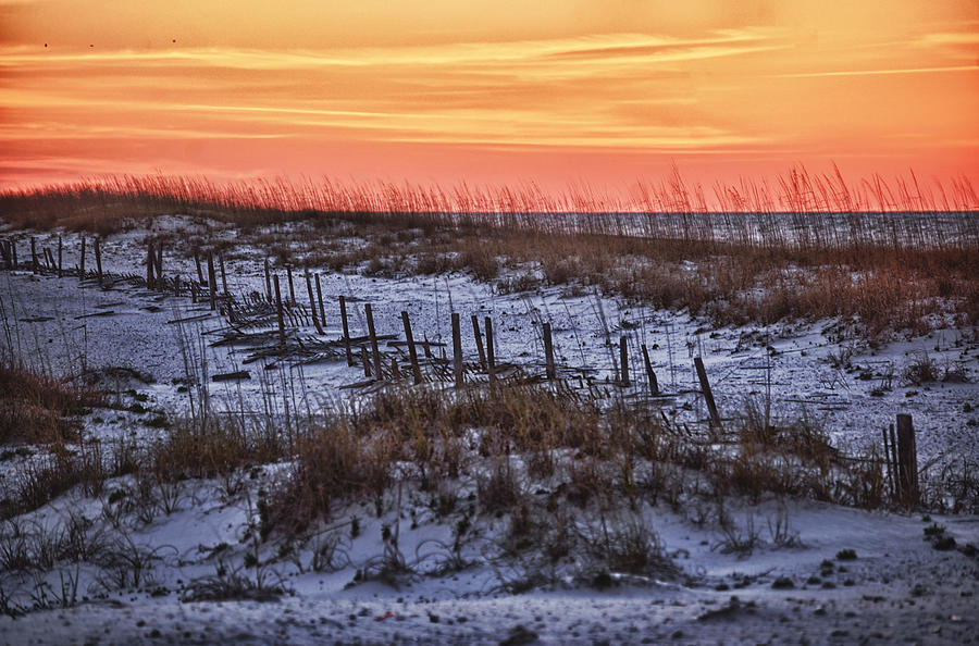 Orange Dawn Photograph by Michael Thomas