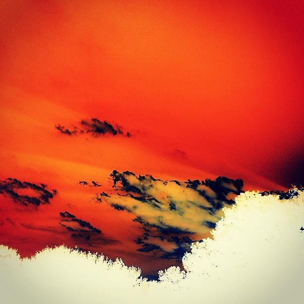 Orange Daydream Photograph by Percy Bohannon