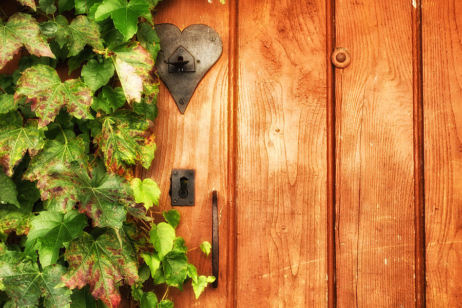 Fall Photograph - Orange Door with Green Ivy by Georgia Clare