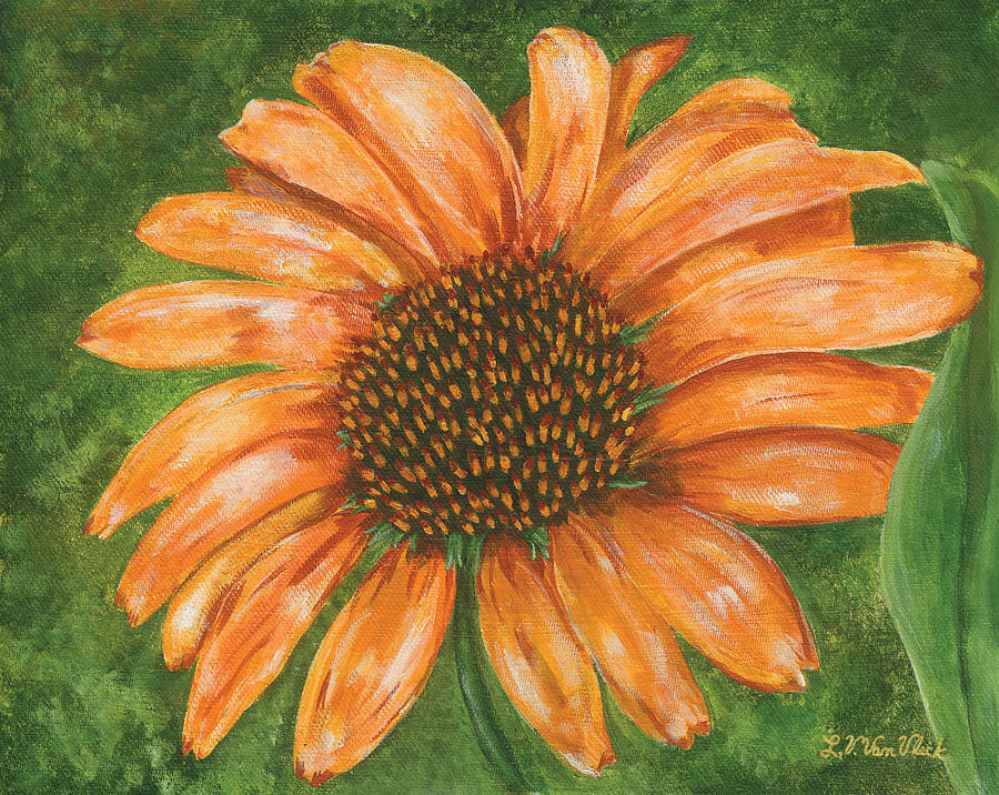 Orange Echinacea Painting by Lucinda VanVleck