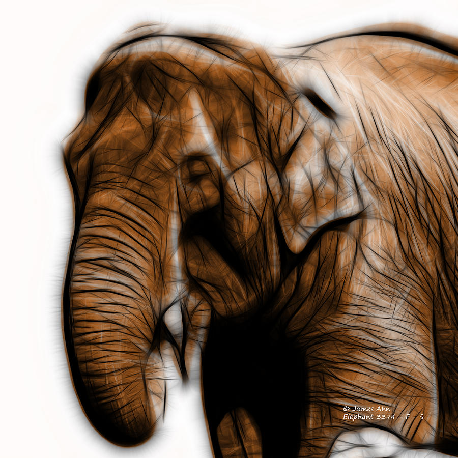 Orange Elephant 3374 - F - S Digital Art by James Ahn