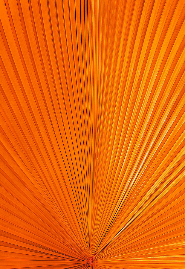 Orange Energy Photograph by Sean Allen