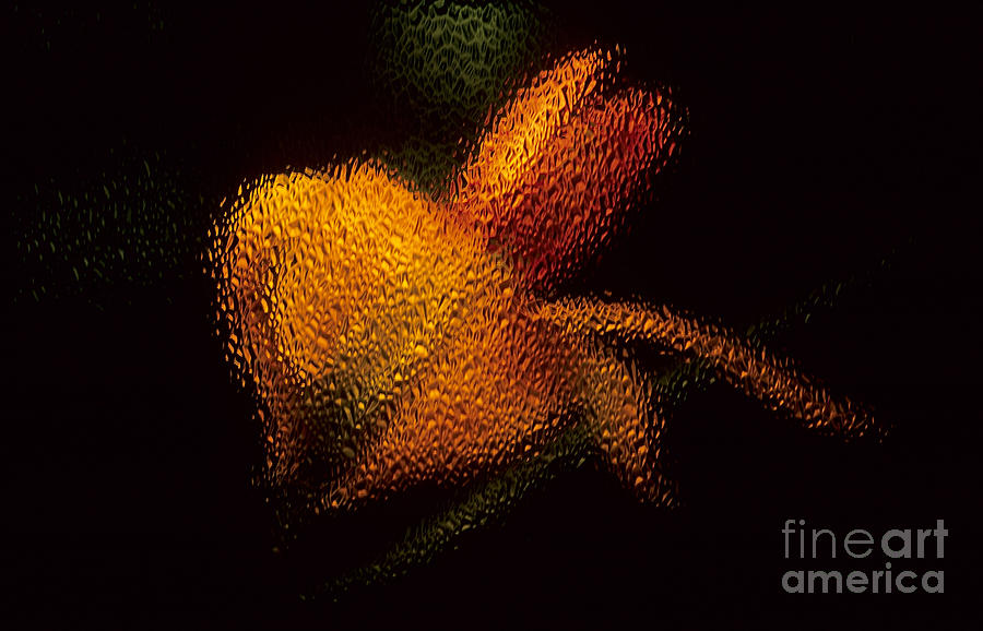 Orange Floral in Abstract Photograph by Sharon Elliott