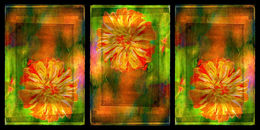 Flower Photograph - Orange Flower Triptych by Alice Gipson Flower Photograph - Orange Flower Triptych by Alice Gipson