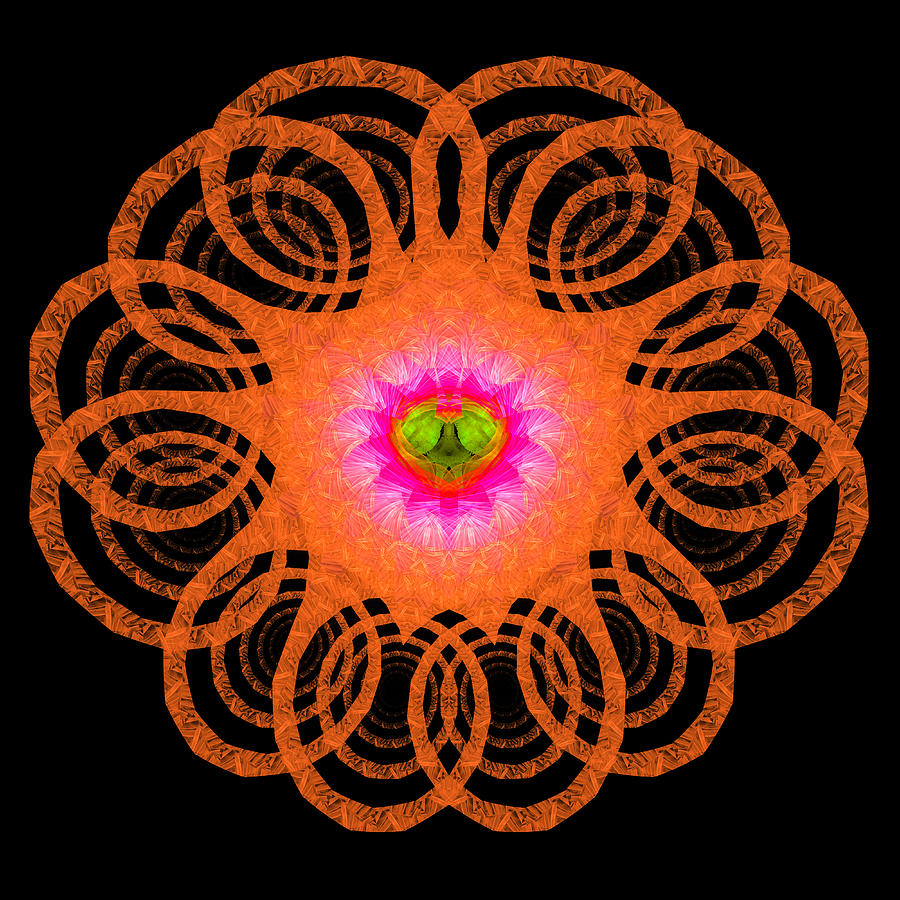 Orange fractal art mandala style Digital Art by Matthias Hauser