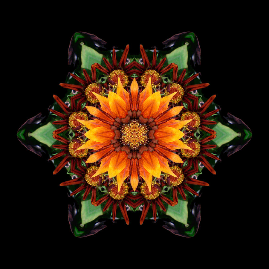 Orange Gazania III Flower Mandala Photograph by David J Bookbinder