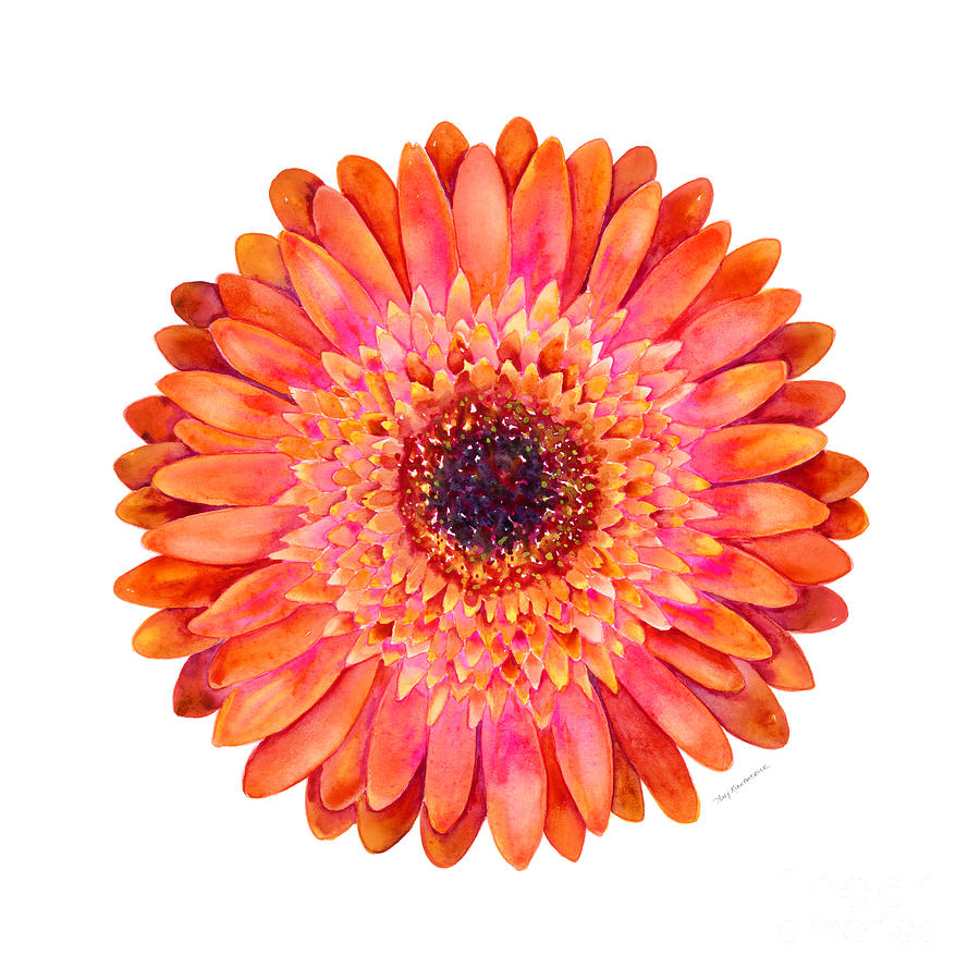 Orange Gerbera Daisy Painting