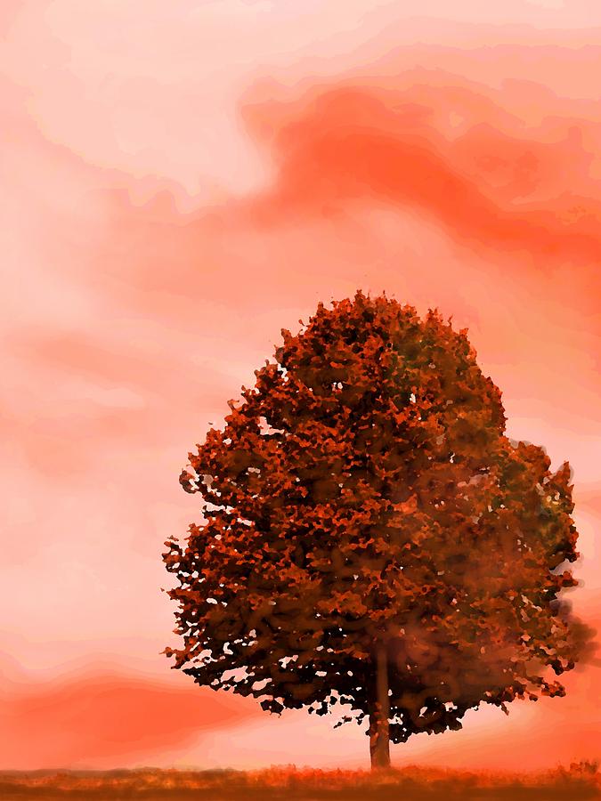 Orange glow of fall Digital Art by Mary Armstrong