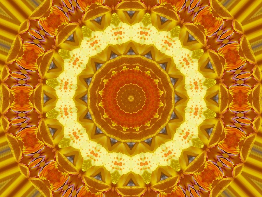 Orange Gold Floral Kaleidoscope 1 Photograph by Sheri McLeroy