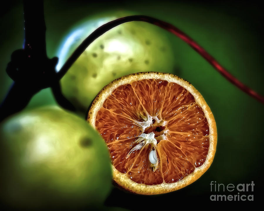 Orange Grape Photograph by Walt Foegelle