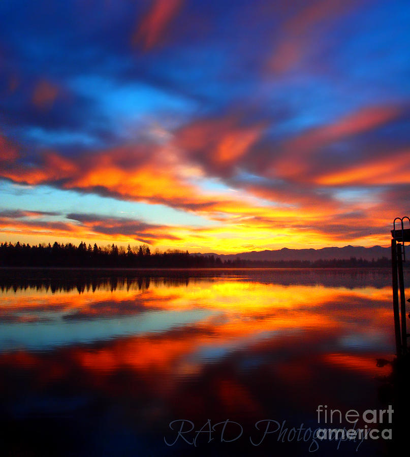 Orange Hues and Blues Photograph by Marisa Maestas - Fine Art America