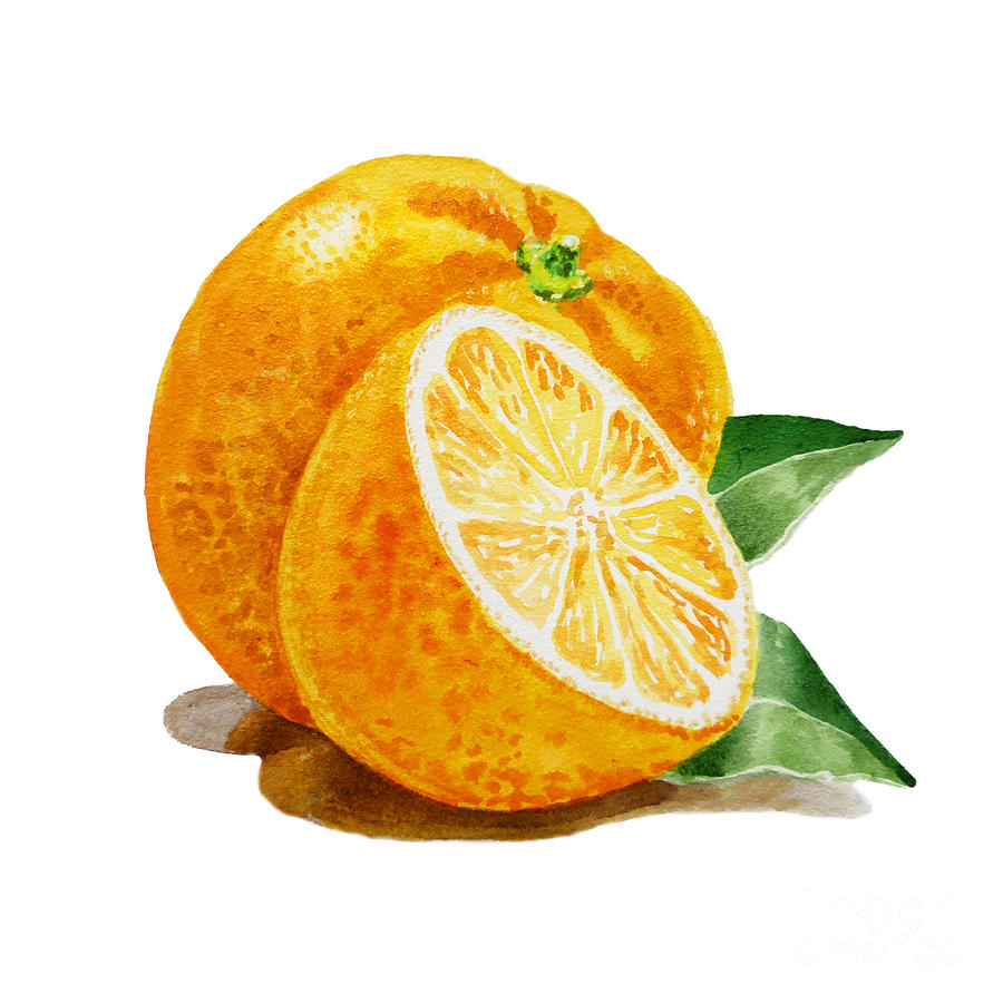 Juice Painting - ArtZ Vitamins An Orange by Irina Sztukowski