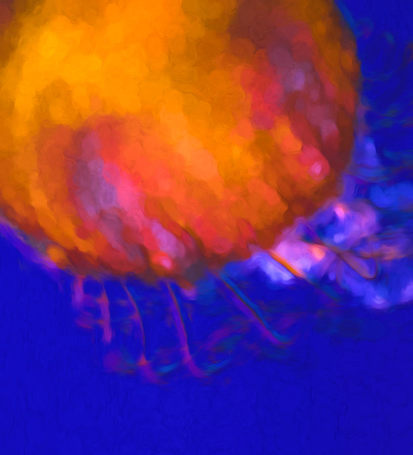 Orange Jellyfish Ocean Art   Mixed Media by Priya Ghose