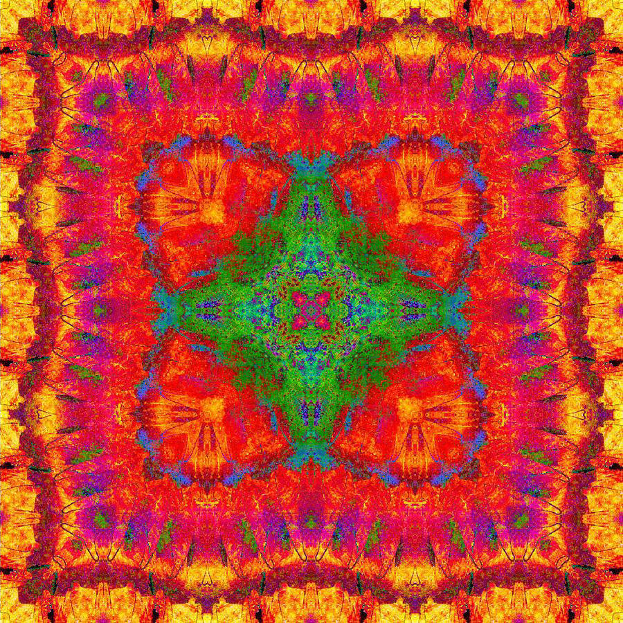 Orange Kaleidoscope Digital Art by Charmaine Zoe
