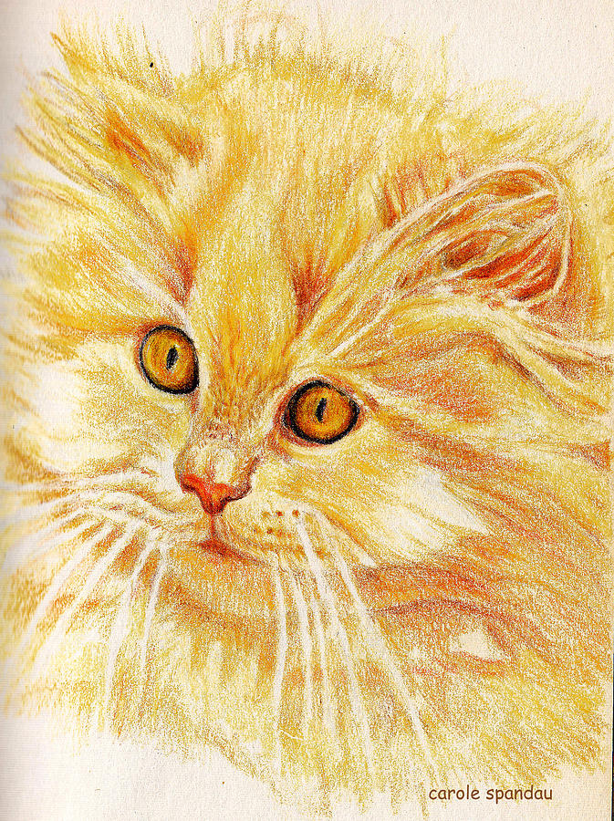 Orange Kitty Cat Painting by Carole Spandau