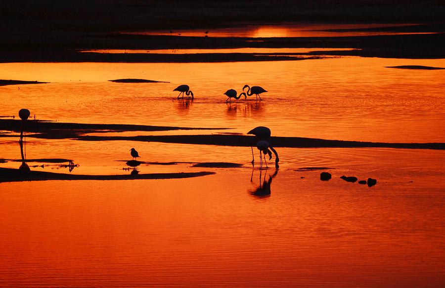 Orange lake Photograph by Werner Lehmann