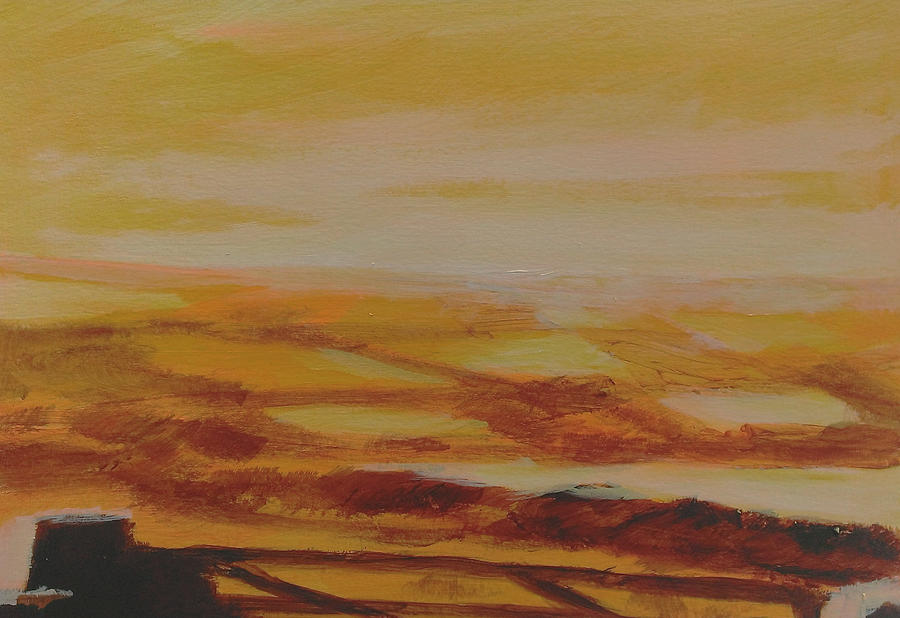 Orange Landscape 2 Painting by Paul Mitchell - Fine Art America