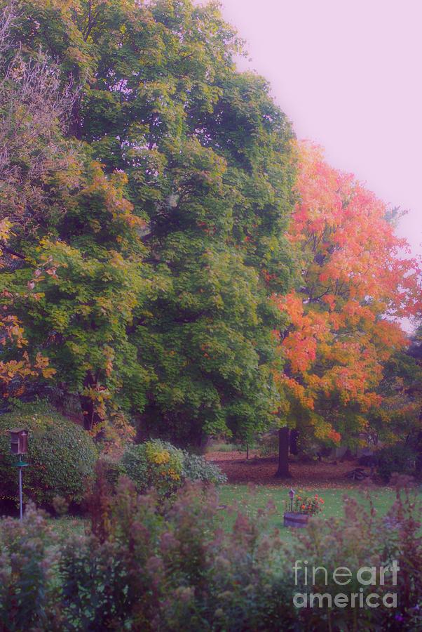Autumn Photograph - Orange Leaves - Monet by Frank J Casella