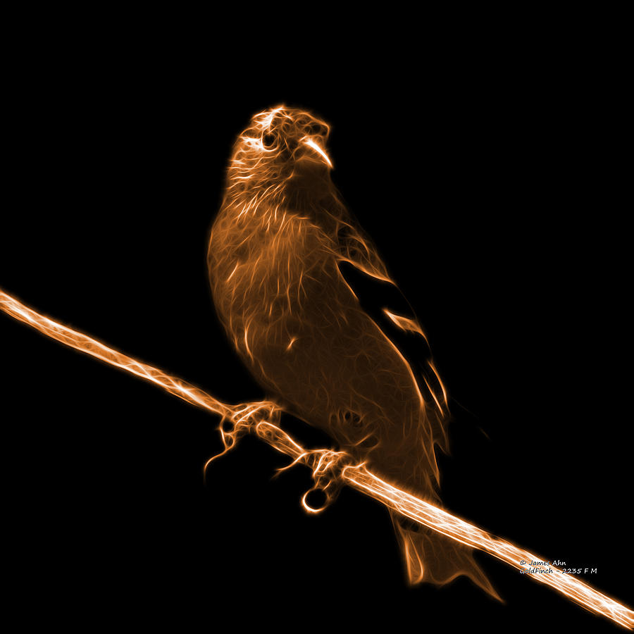 Orange Lesser Goldfinch - 2235 F Digital Art by James Ahn