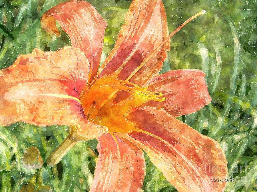 Orange Lily Painting by Claire Bull