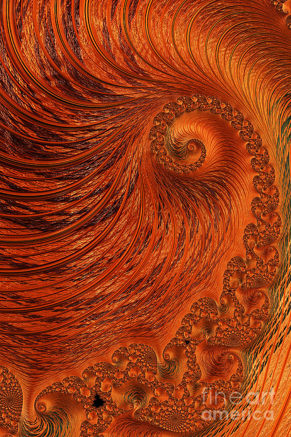Orange Lily Fractal Digital Art by Steve Purnell