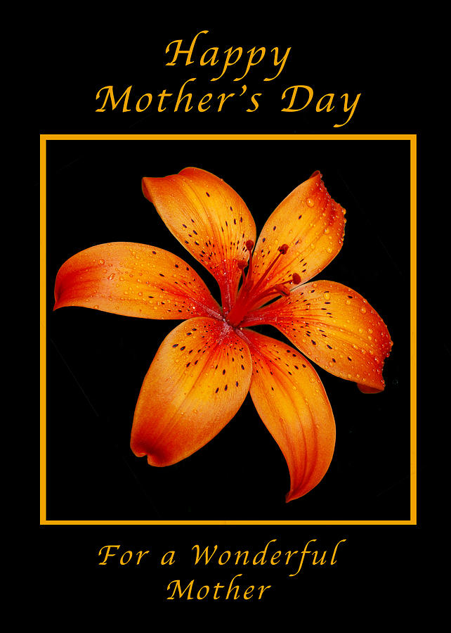 Orange Lily Mothers Day Card Photograph by Michael Peychich