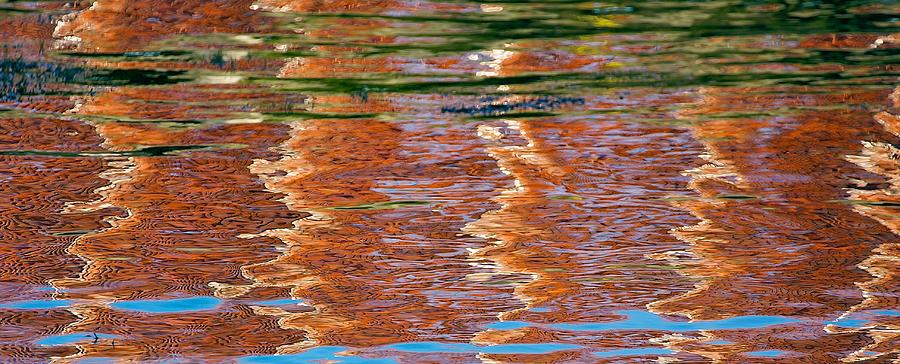 Orange Lobster Trap Reflections Photograph by Stuart Litoff