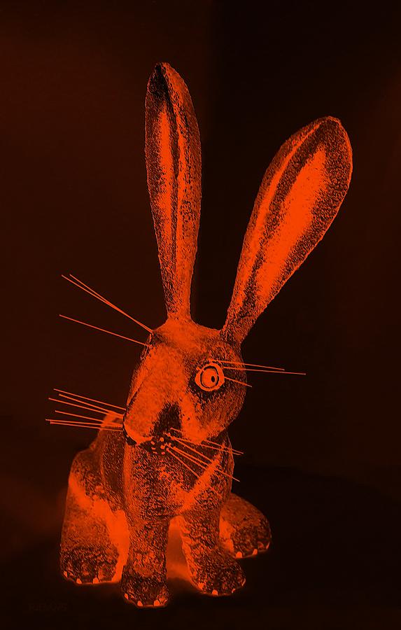 Orange New Mexico Rabbit Photograph by Rob Hans
