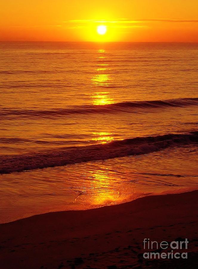 Orange - Beach - Sunrise Photograph by D Hackett
