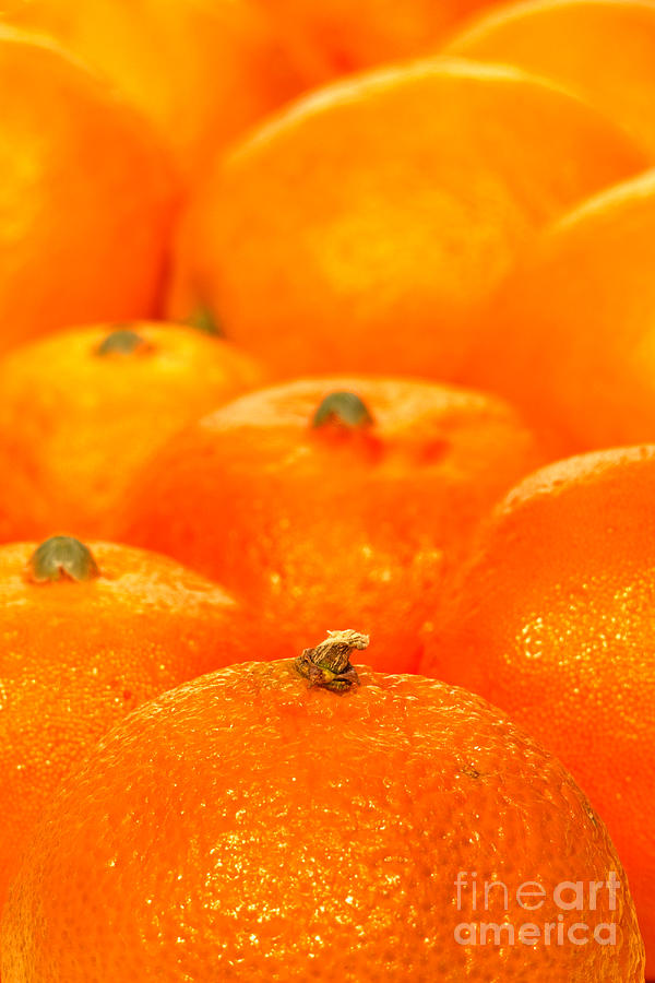 Orange Oranges Photograph by Olivier Le Queinec