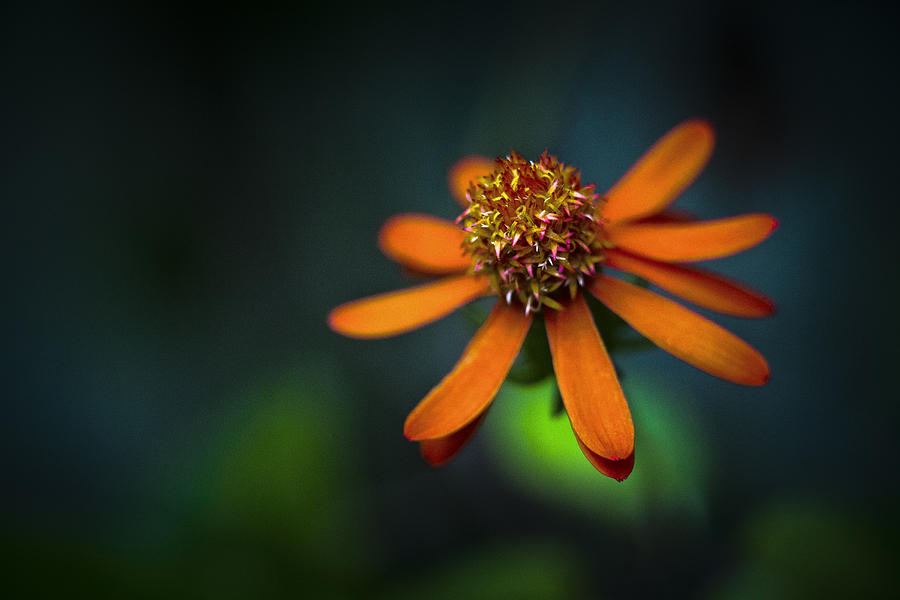 Orange Over Blue And Green Photograph by Bradley R Youngberg