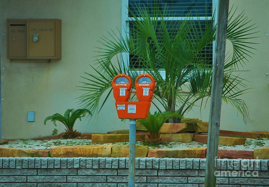 Orange Parking Meters Photograph by Bob Sample