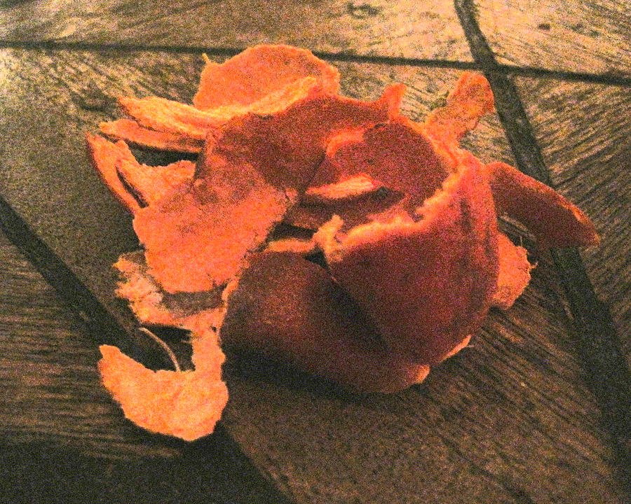 Orange Peel 2 Photograph by Jessica Levant