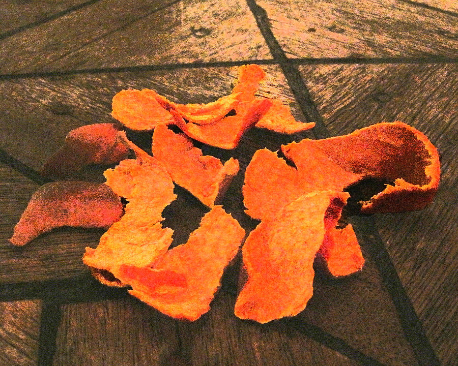 Orange Peel Photograph by Jessica Levant