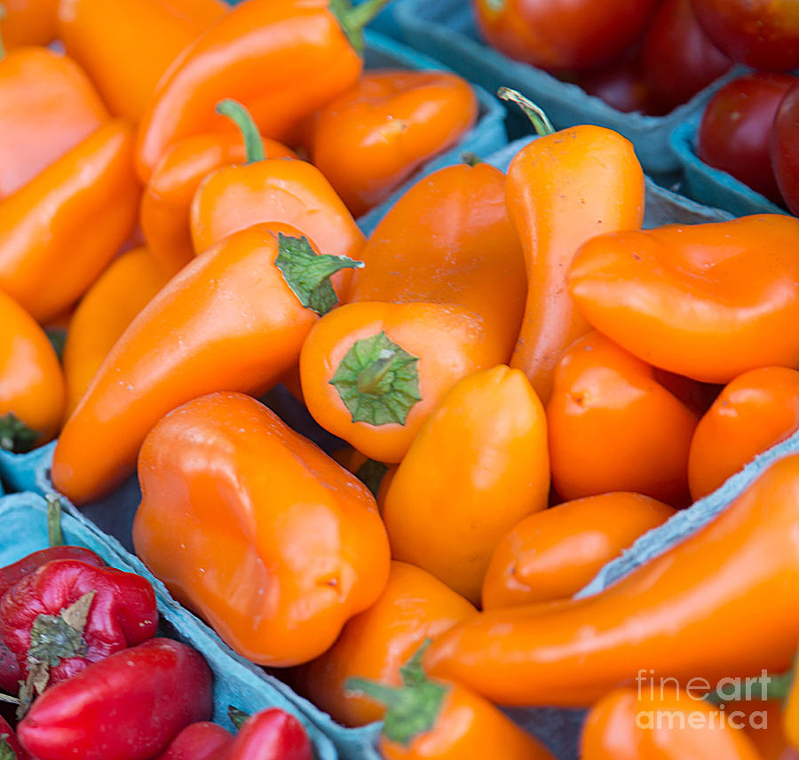 Orange Peppers Photograph by Rebecca Cozart