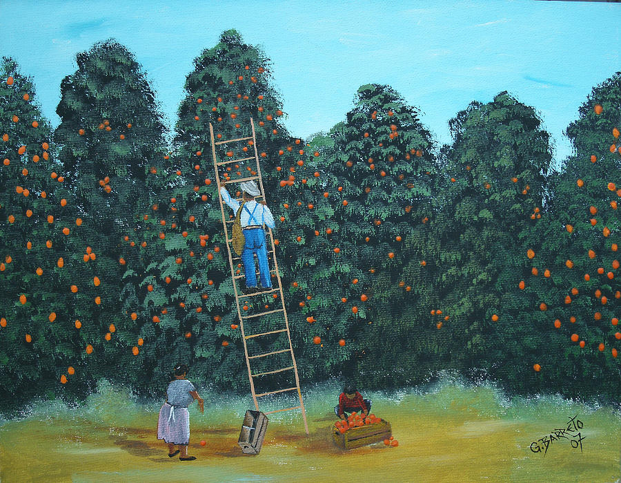 Orange Picking Painting by Gloria E Barreto-Rodriguez