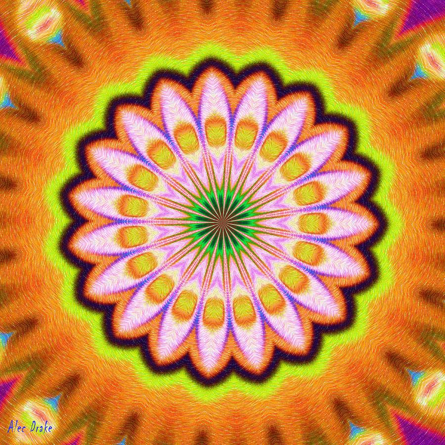 Abstract Digital Art - Orange Pip Kaleidoscope by Alec Drake