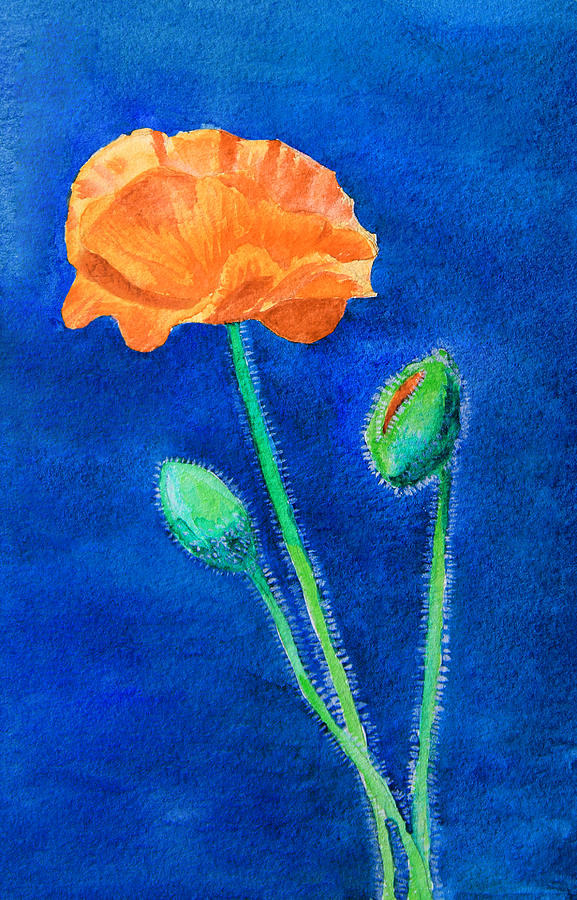 Orange Poppy Painting by Masha Batkova