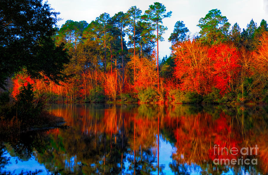 Orange Reflections Photograph by Dave Bosse