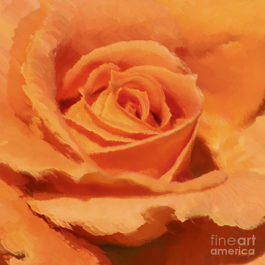 Orange rose Digital Art by Johnny Hildingsson