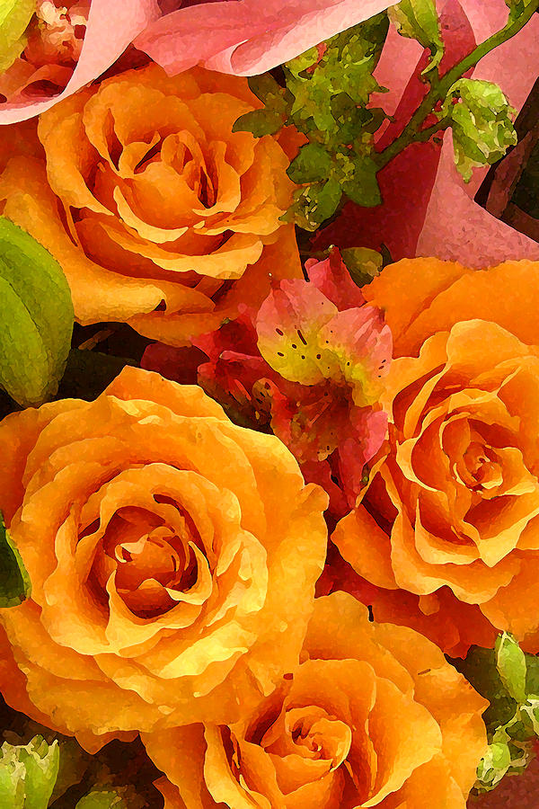 Rose Painting - Orange Roses by Amy Vangsgard