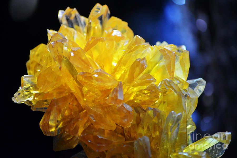 Gypsum Photograph - Orange Selenite Gypsum Crystal Macro by Shawn OBrien
