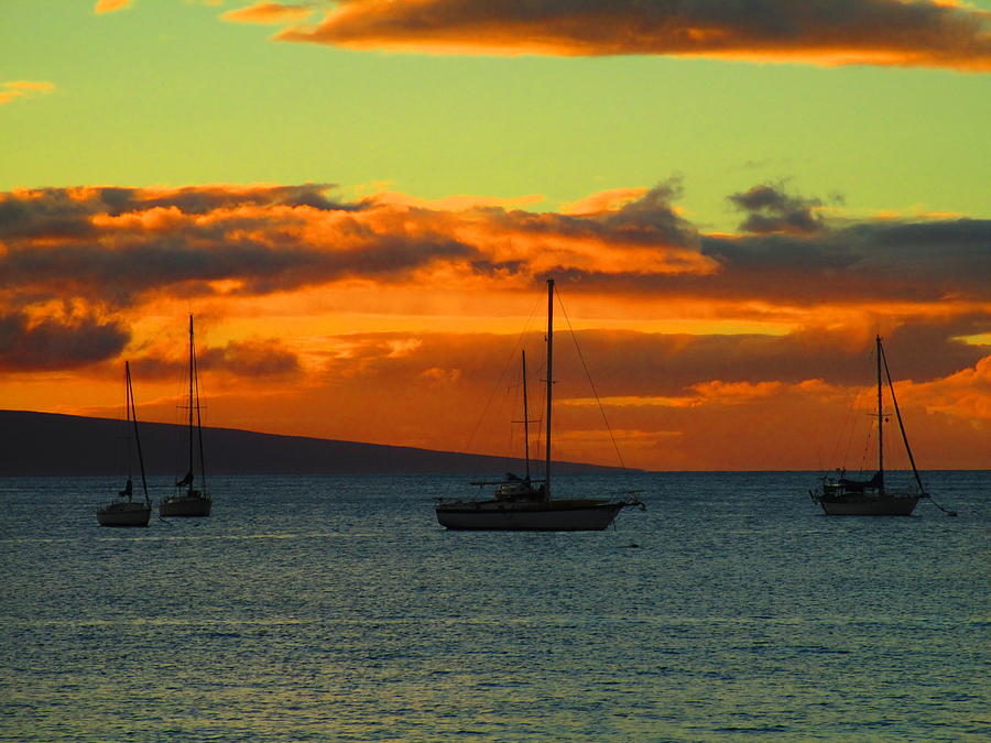 Orange Sky And Sailboats Photograph