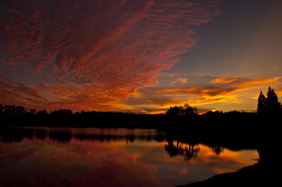 Nature Photograph - Orange Sky in Florida by Kelly D Photography