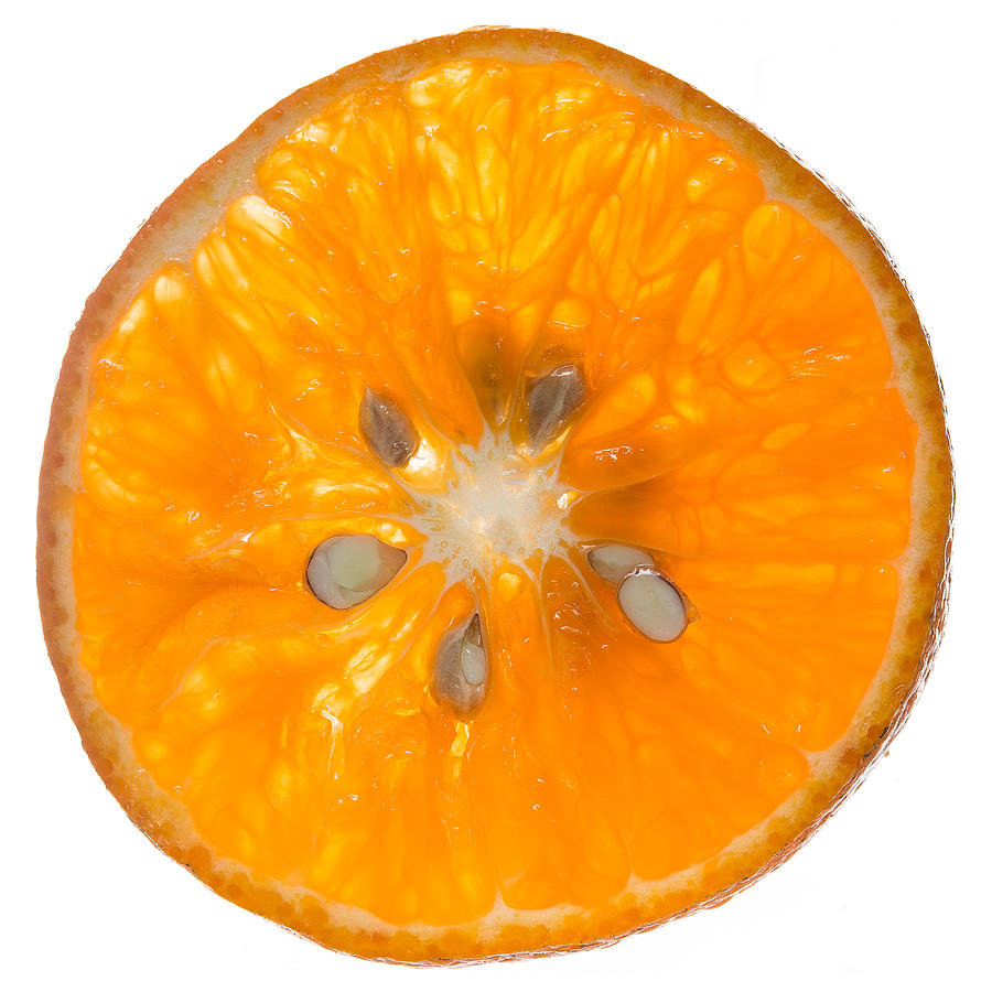 Fruit Photograph - Orange Slice by Steve Gadomski