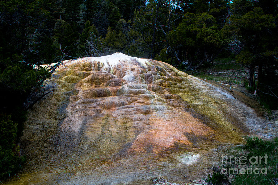 Orange Spring Mound #2 Photograph by Dan Hartford