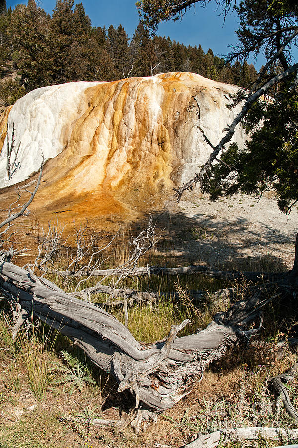 Orange Spring Mound at Mammoth Hot Springs Photograph by Fred Stearns