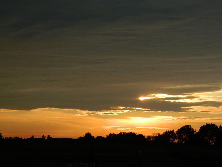 Orange Sun Photograph by Carmen Voss - Fine Art America