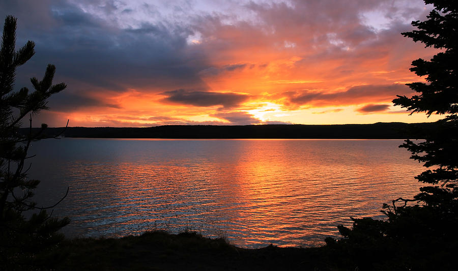 Orange Sunset Photograph by Athena Mckinzie