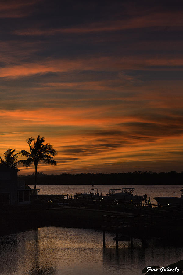 Orange Sunset Photograph By Fran Gallogly   Fine Art America